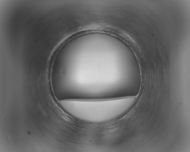 X0000075351216200609080804