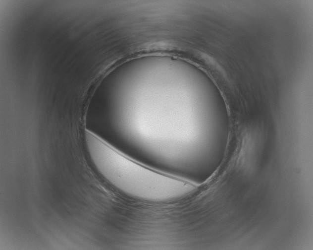 X0000075351217200609080804
