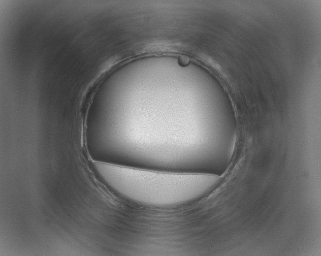 X0000075351219200609080804