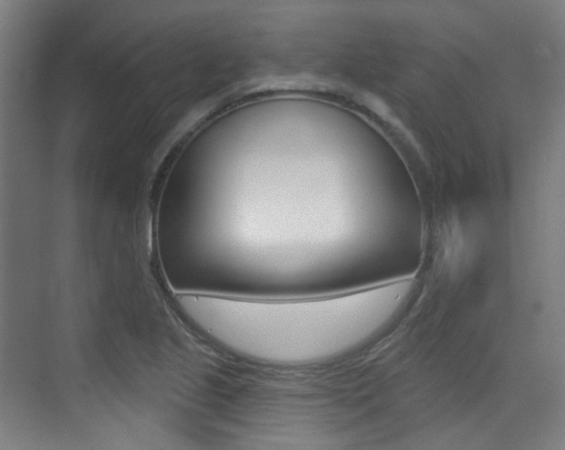 X0000075351221200609080804