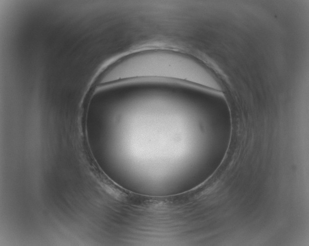 X0000075351222200609080804