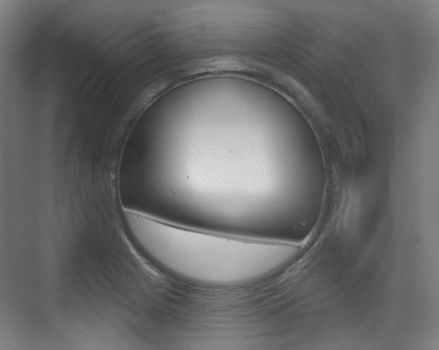 X0000075351225200609080804