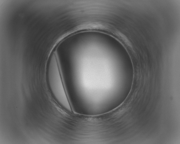 X0000075351226200609080804
