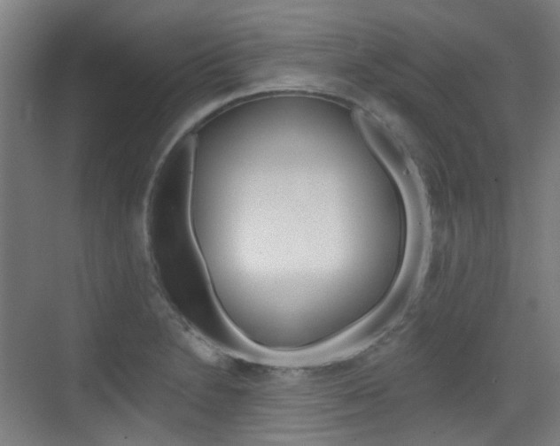 X0000075351230200609080804