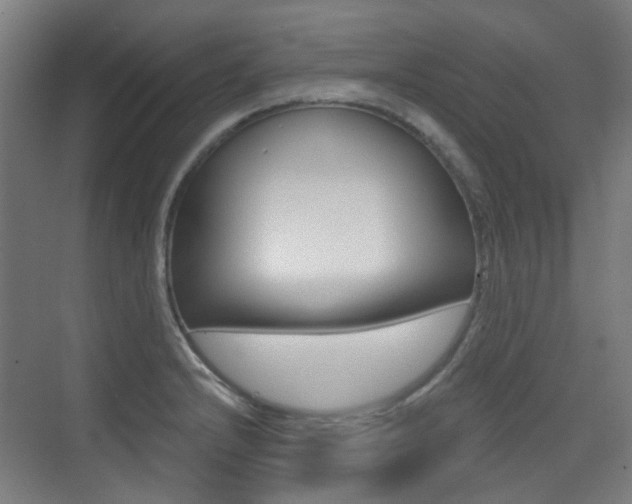 X0000075351232200609080804