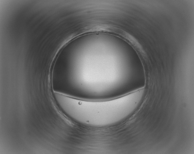 X0000075351234200609080804