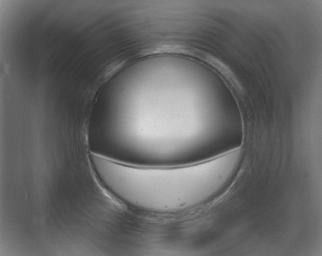 X0000075351241200609080804