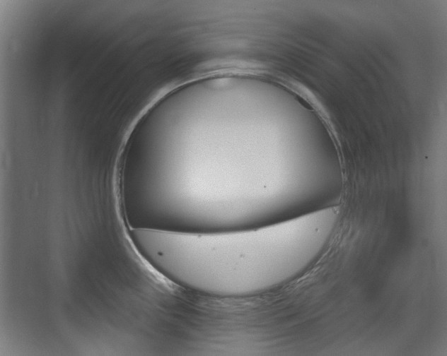 X0000075351243200609080804