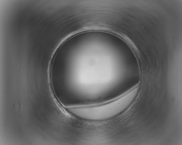 X0000075351246200609080804