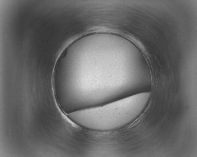 X0000075351247200609080804