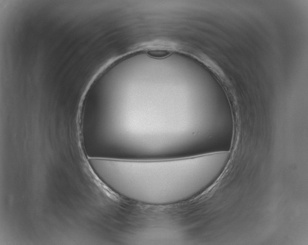 X0000075351248200609080804