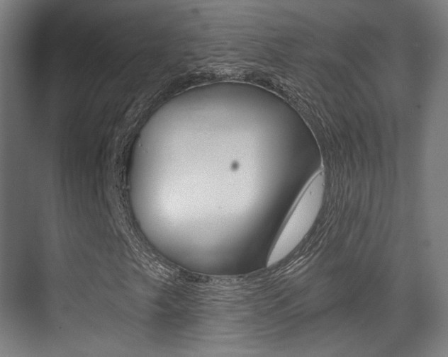 X0000075351249200609080804