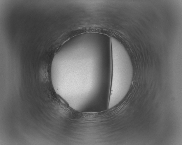 X0000075351252200609080803