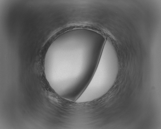 X0000075351256200609080803