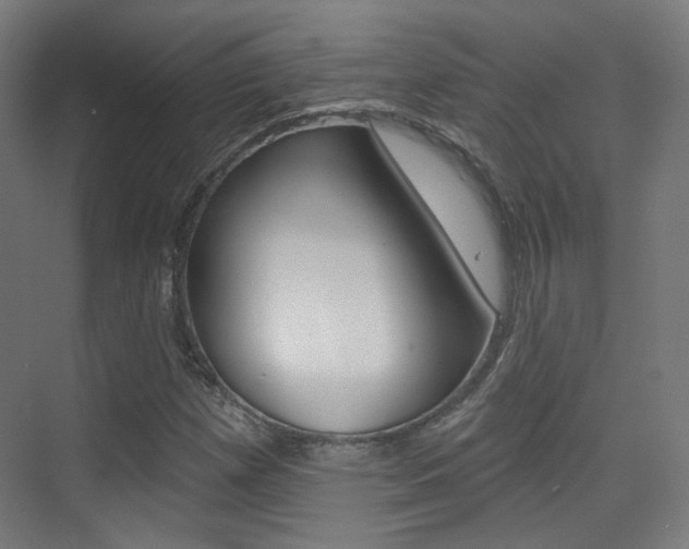 X0000075351257200609080803