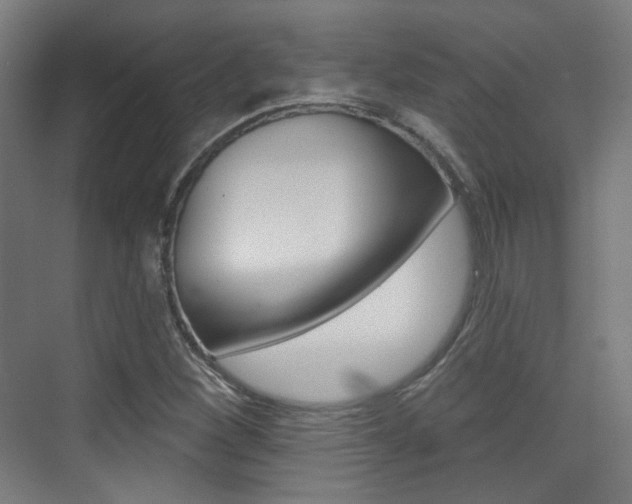 X0000075351260200609080803