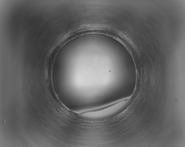 X0000075351261200609080803