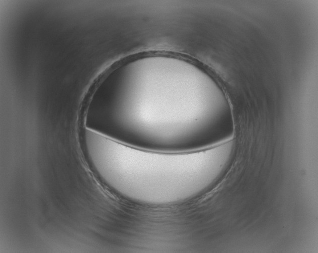 X0000075351264200609080803