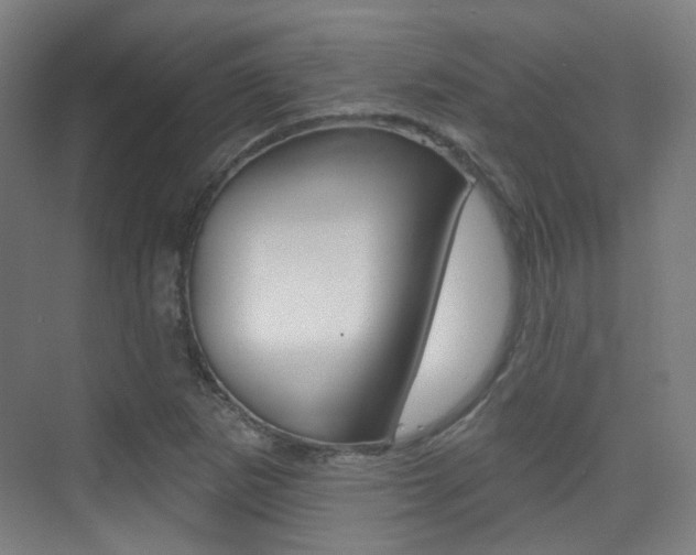 X0000075351265200609080803