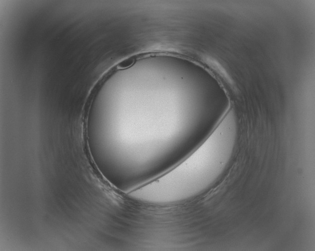 X0000075351268200609080803