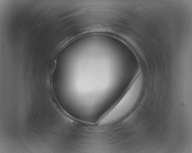 X0000075351273200609080803