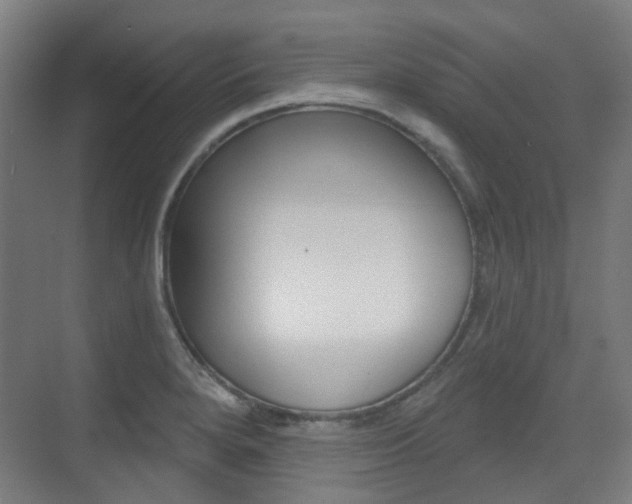 X0000075351280200609080803