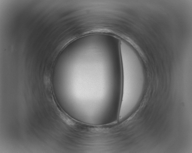 X0000075351281200609080803