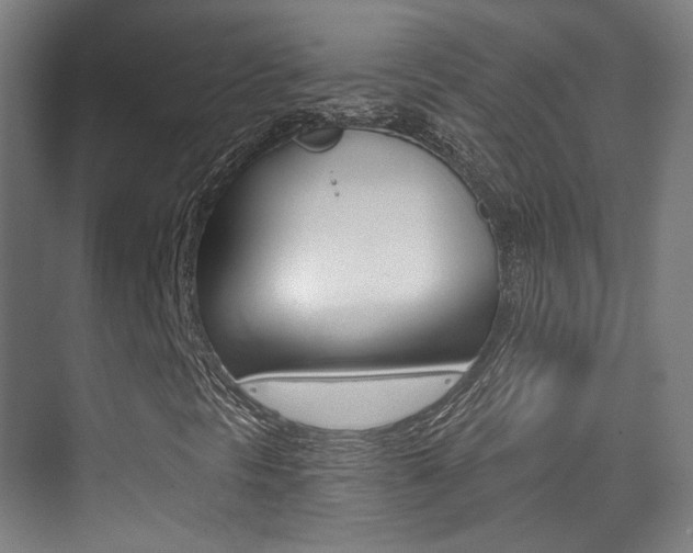 X0000075351297200609080802