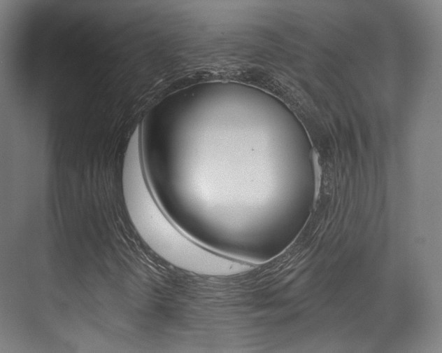 X0000075351298200609080802