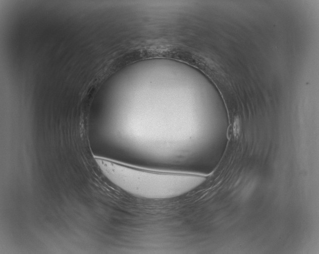 X0000075351299200609080802