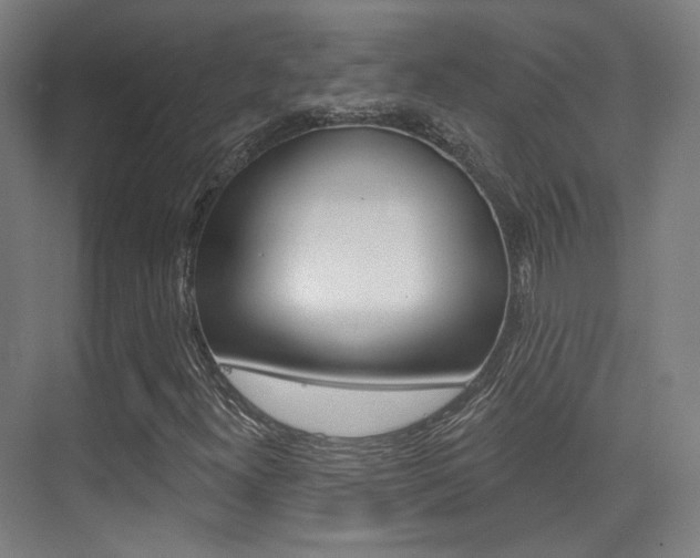 X0000075351300200609080802