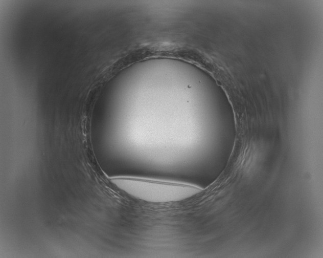 X0000075351301200609080802