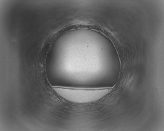 X0000075351303200609080802