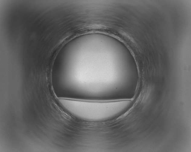 X0000075351305200609080802