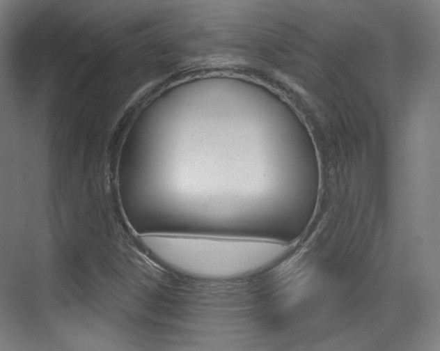 X0000075351306200609080802