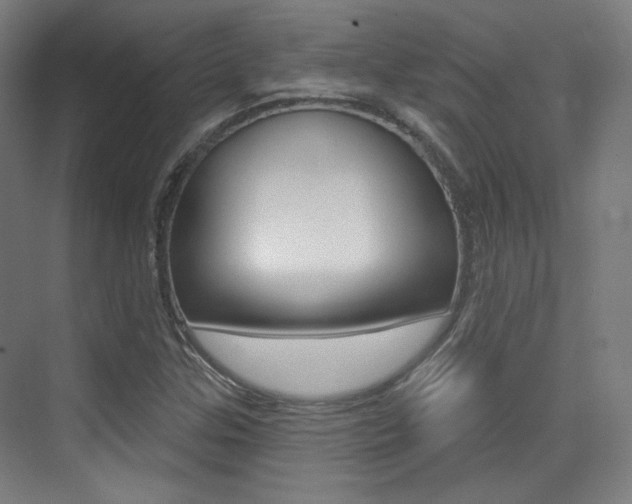 X0000075351307200609080802