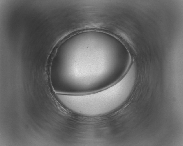 X0000075351308200609080802