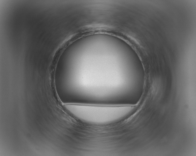 X0000075351309200609080802