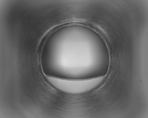 X0000075351310200609080802