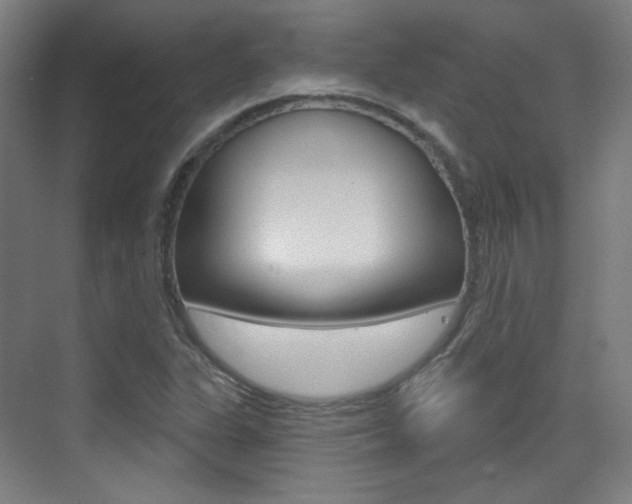 X0000075351311200609080802