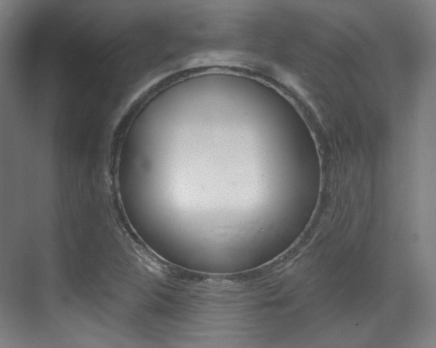 X0000075351312200609080802