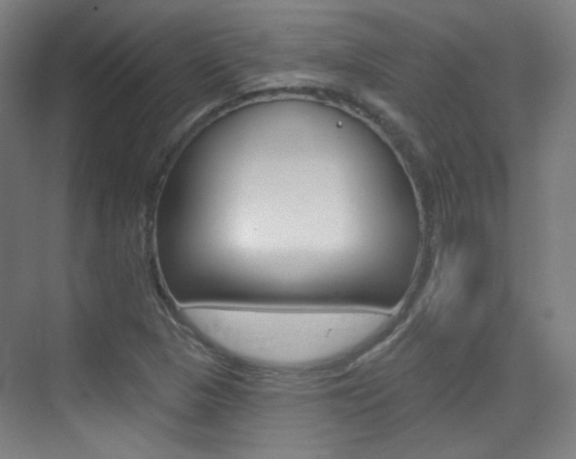 X0000075351313200609080802