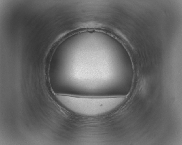 X0000075351315200609080802