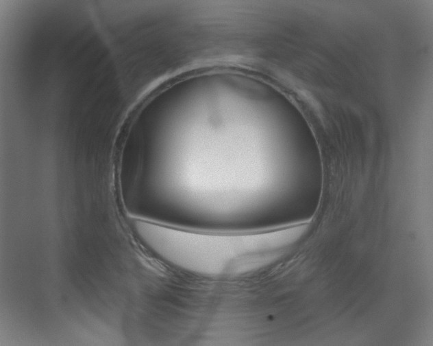X0000075351316200609080802
