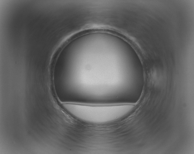 X0000075351319200609080802