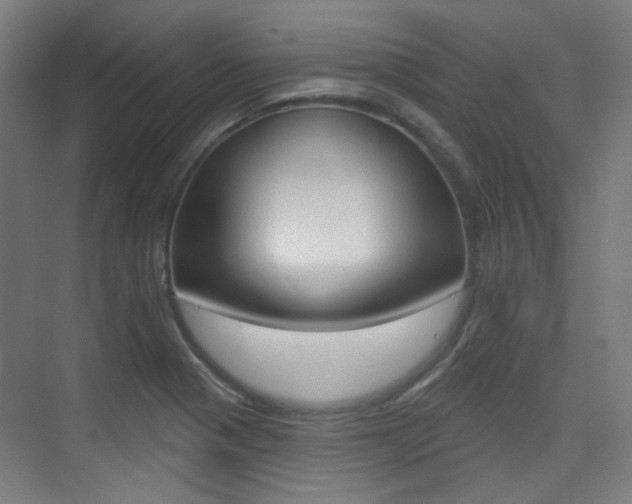 X0000075351321200609080802