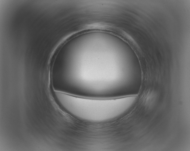 X0000075351323200609080802