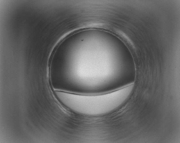 X0000075351324200609080802