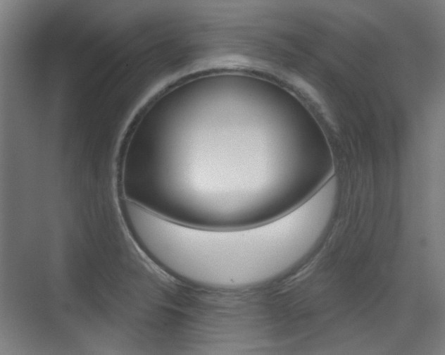 X0000075351326200609080802