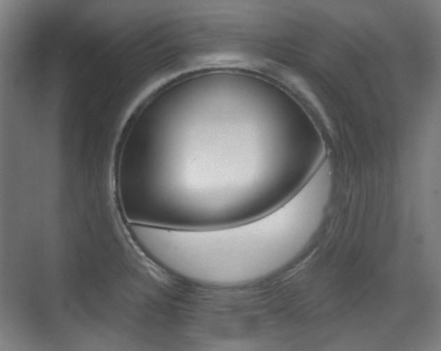 X0000075351328200609080802